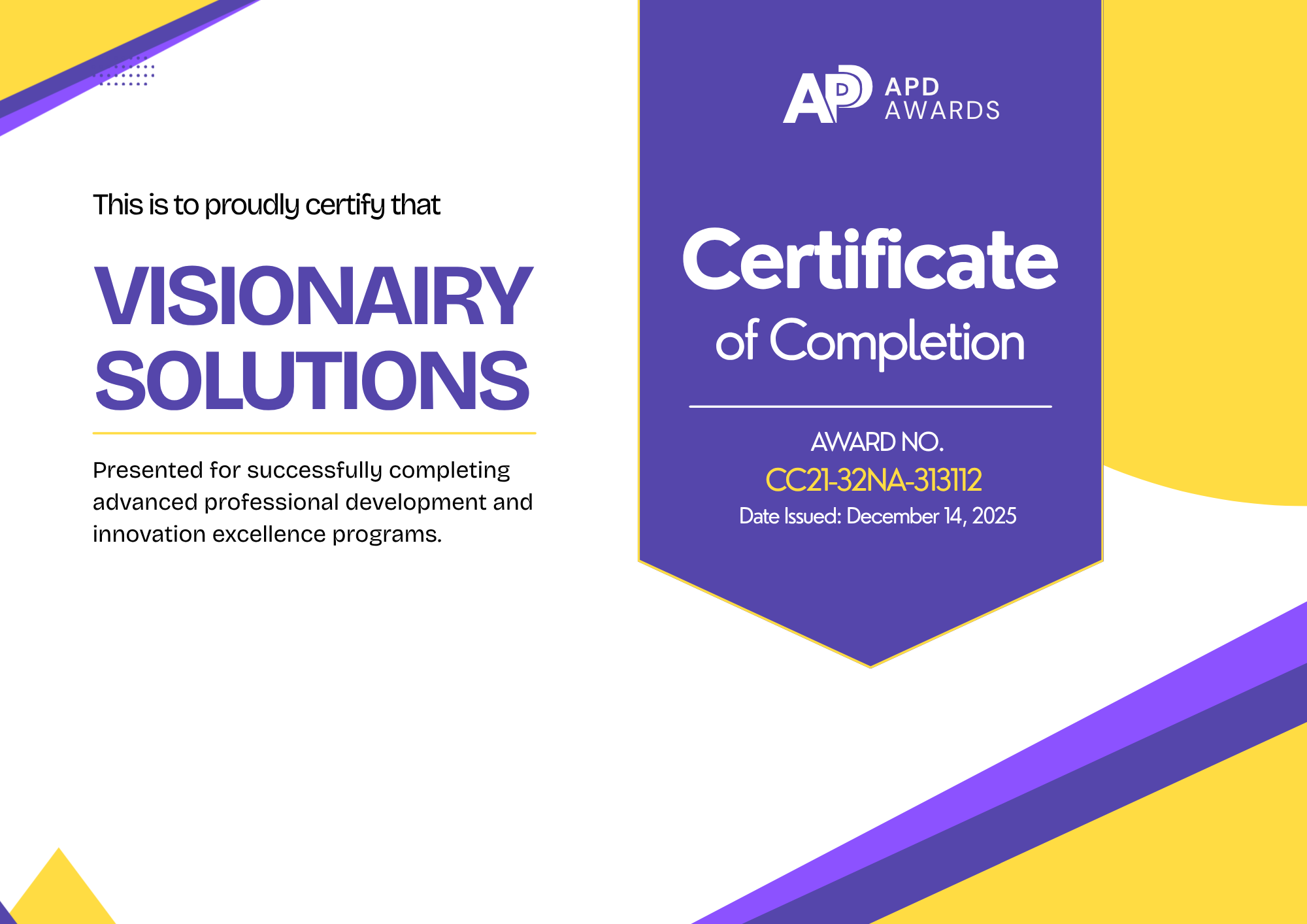 VisionAIry Solutions Certificate